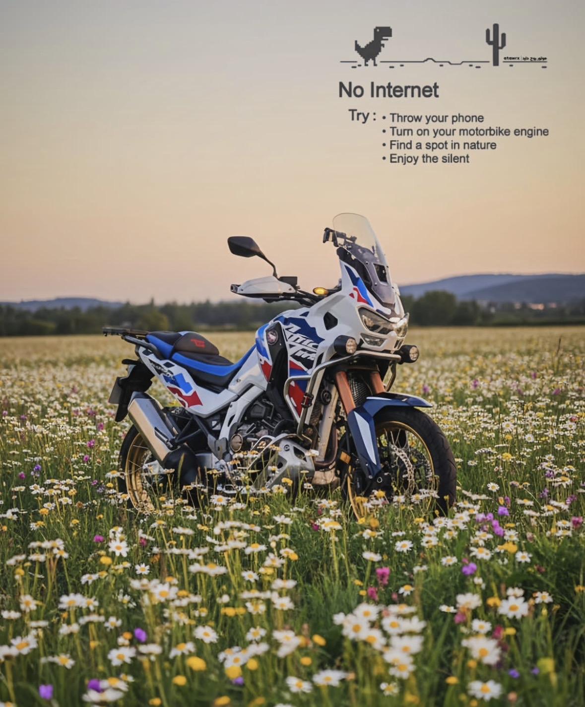 Plog｜🥥舒适是我继续一切的标准
୨😊୧做自己就好 ，不太好也没关系