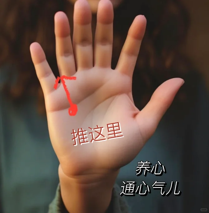 小手法大养生系列———❤️悸心烦