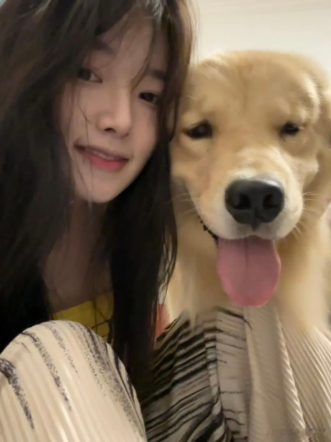 我怎么会遗忘我这个曾经给我带来这么多快乐的小狗浩克是我养过最乖的小狗，从小就不拆