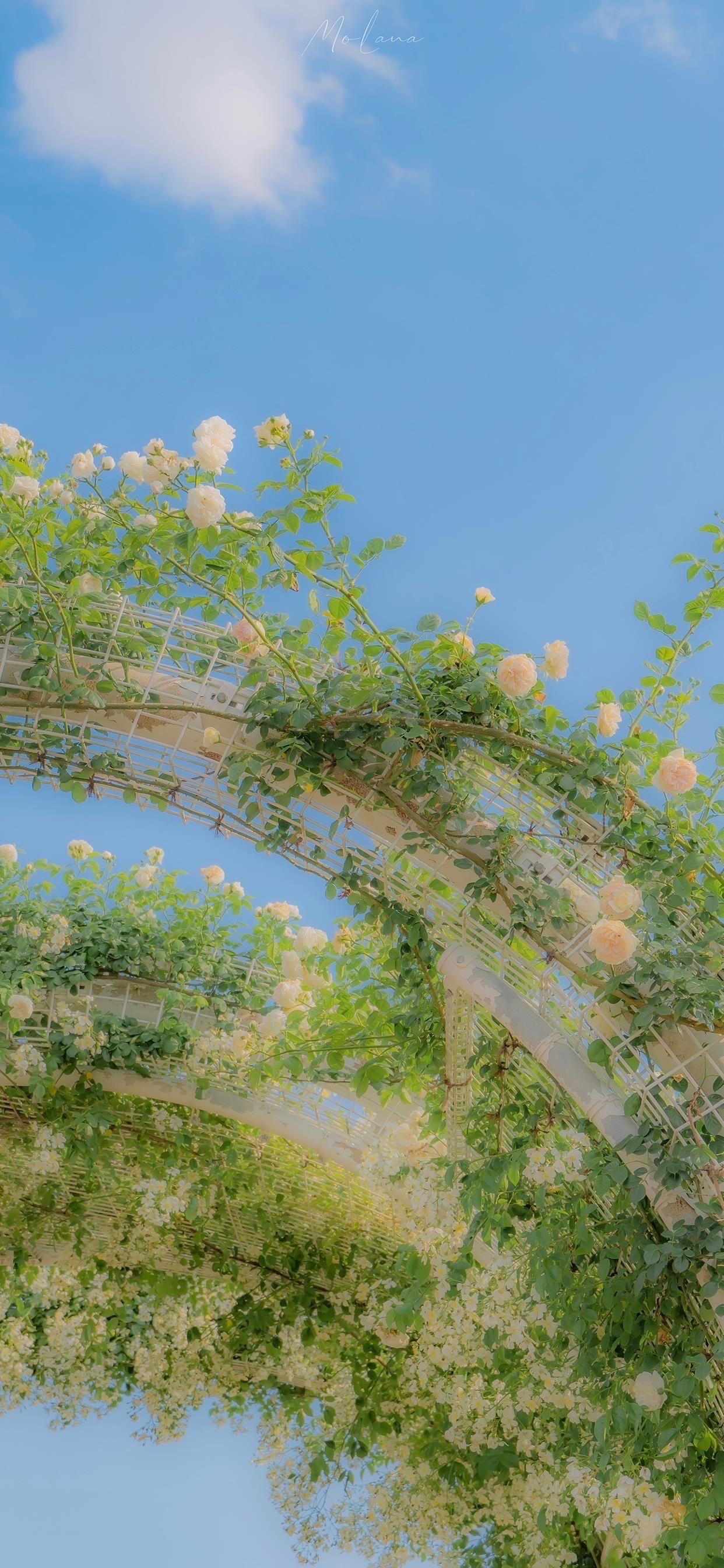 20240111日运指南甲戌日  腊月初一今天由于月刑日的影响，可能会存在一些小