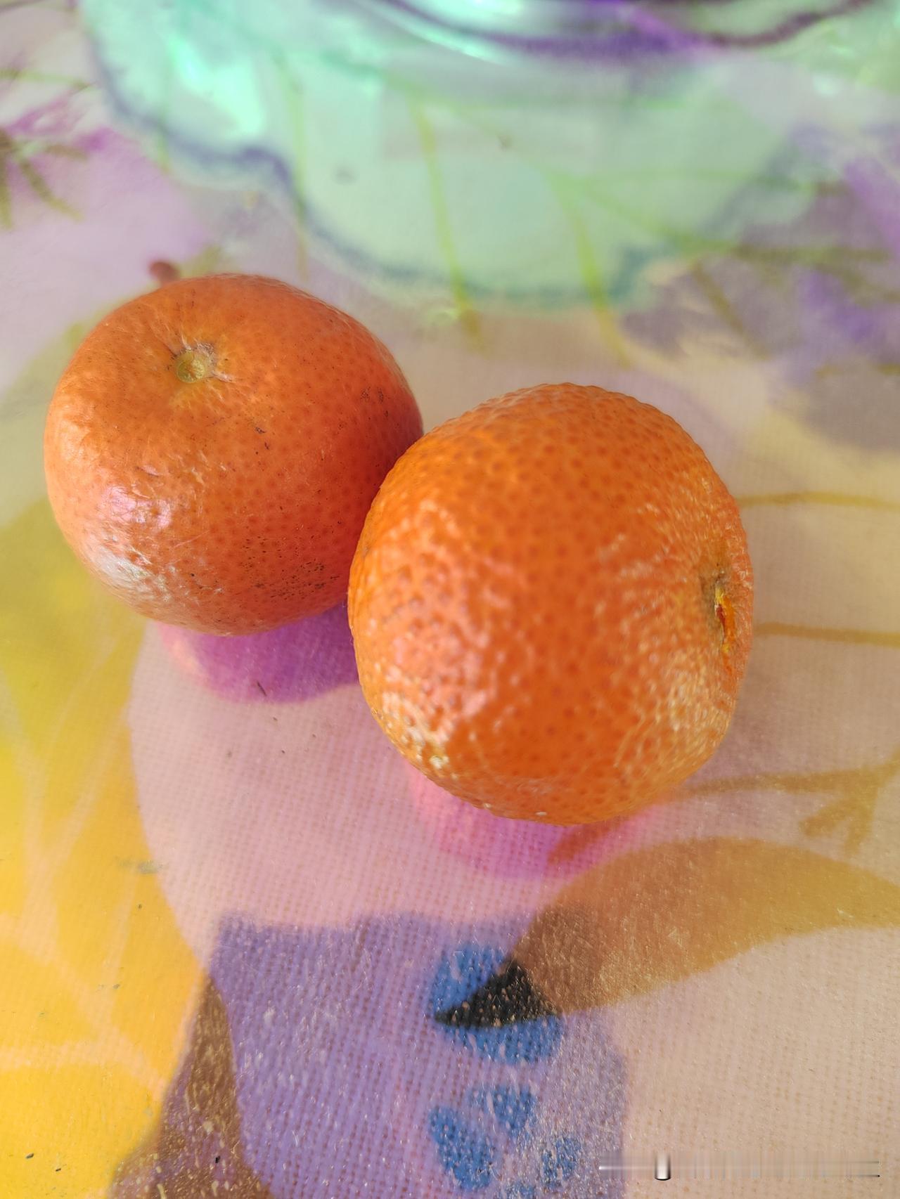 柑橘家族:橙子、柚子、柠檬、金桔、沙糖桔等等。这家伙的魅力，除了果肉好吃，在果皮