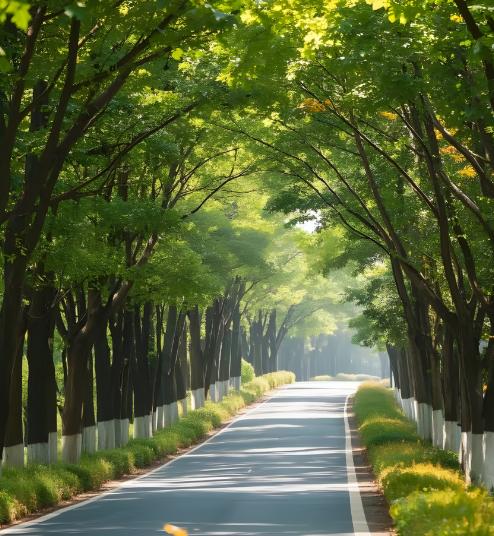 心理学家说：

“有人总想多挣钱，其实挣到一百万和一千万没有本质区别。多出来的钱