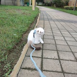春根爱聊科技
