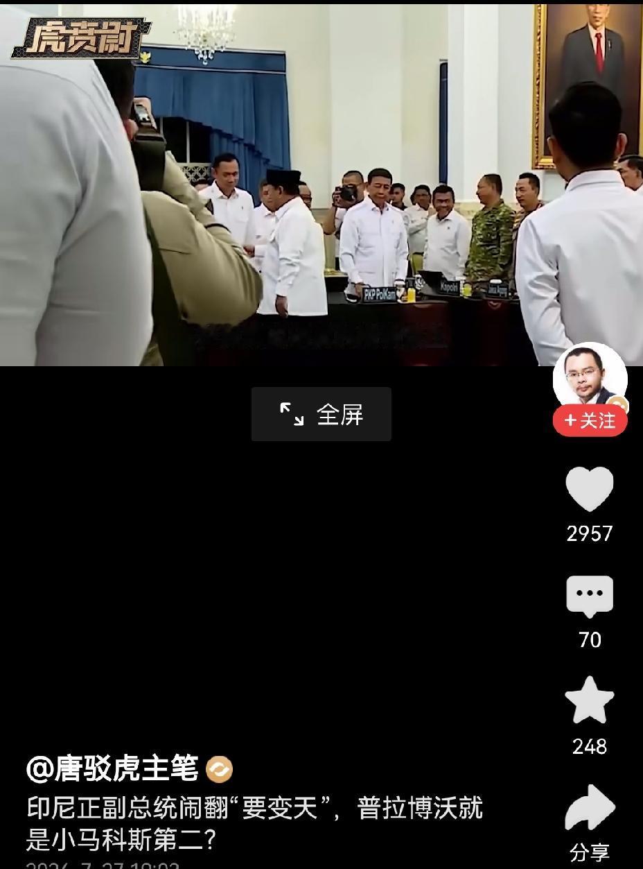 【政见不同：印尼总统和副总统不和的原因】印尼总统普拉博沃和副总统吉布兰可能政见不