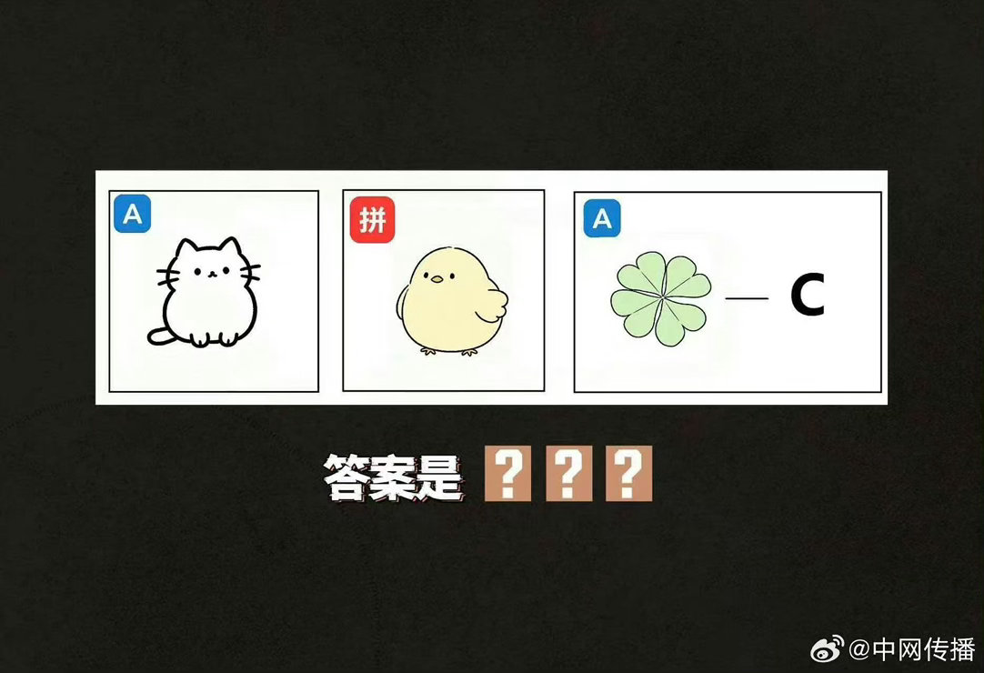 周笔畅粉丝全员化身解谜侦探 周笔畅工作室连发五条谜题，全网都在猜就我没看懂吗！正