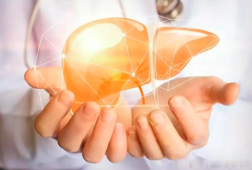 【中医如何调养脂肪肝】健康科普中医养生说通俗来讲，脂肪肝就是肝脏内堆积了太多脂肪