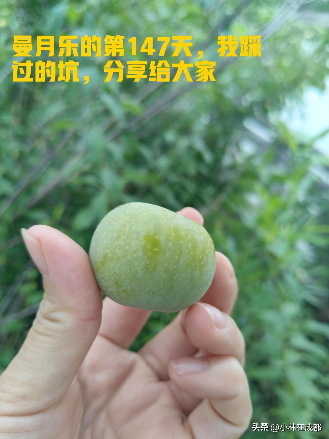 上了曼月乐第147天，我踩过的坑分享给大家，希望有这种经历的姐妹们一定要注意
