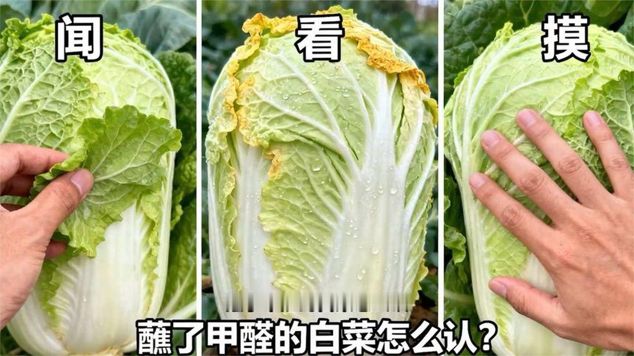 蘸了甲醛的白菜怎么认？牢记“闻、看、摸”三招，别把毒白菜买回