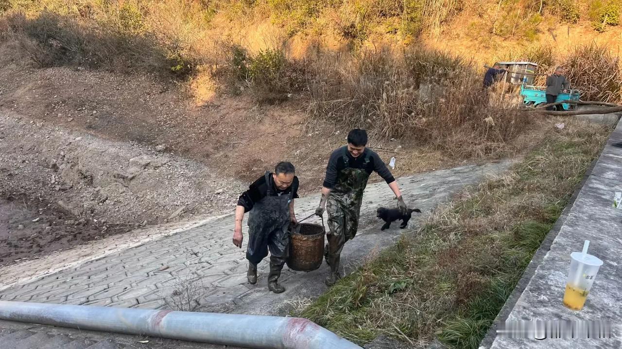 感谢朋友，让我重温儿时的美好！

朋友老家在农村，几家人一起在一个池塘里养了鱼。