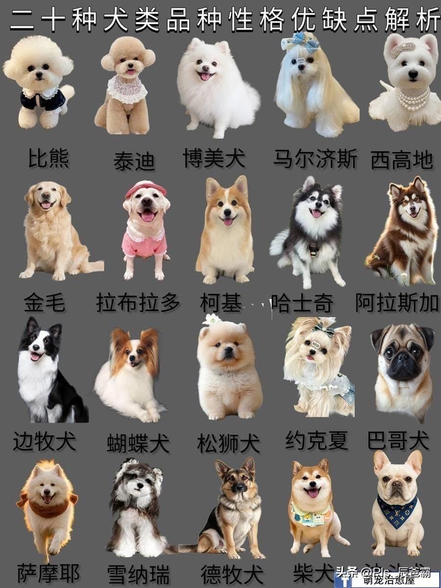 治愈人生，笑看未来