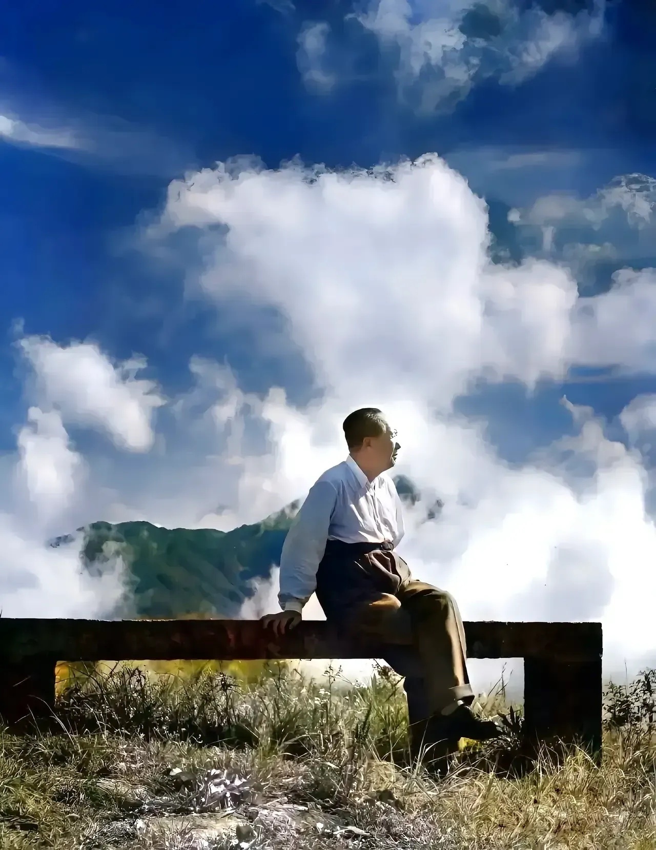 毛泽东同志是伟大的马克思主义者，伟大的无产阶级革命家、战略家、理论家，是马克思主