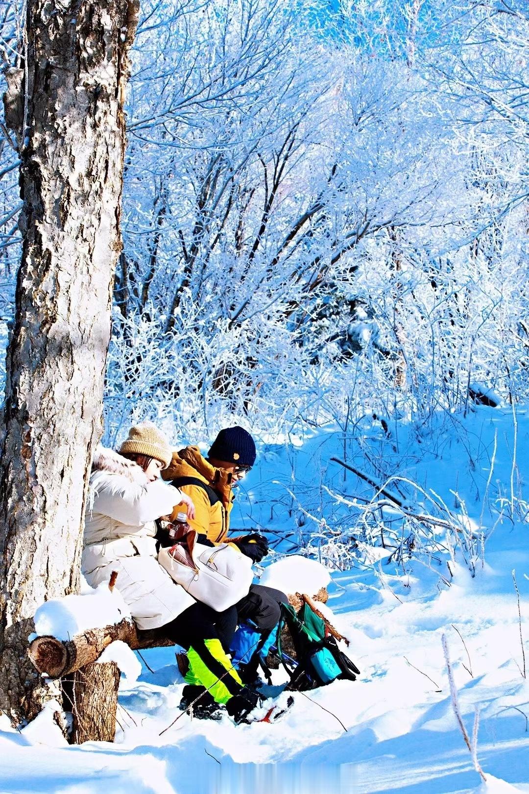 人的一生只有一场大雪，其余的都在和它做比较！🌨️#大雪#​​今天大雪，一年中倒