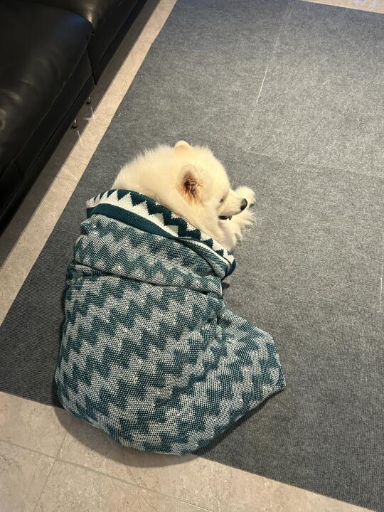 今晚耶贵人侍寝