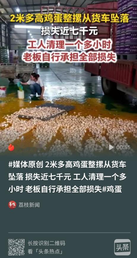 这老板有格局！河北涿州，一车鲜鸡蛋在卸货时突发意外，因叉车工操作不慎，整摞鸡蛋瞬