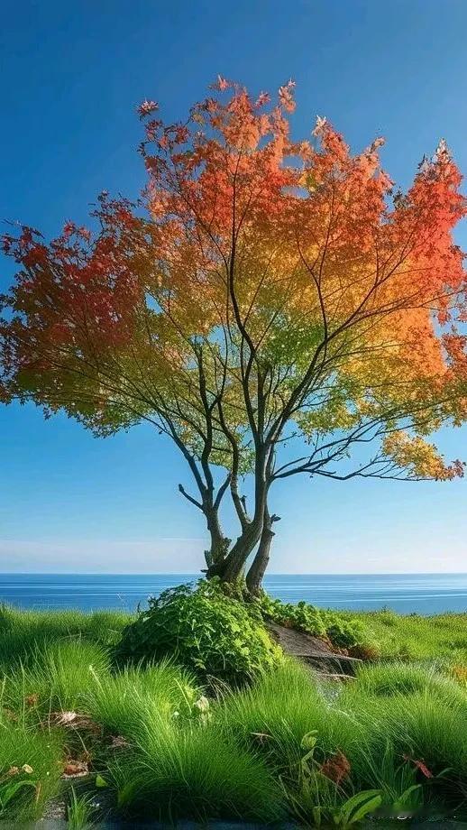 #分享一张随手拍下来的最美的风景##秋日景色随手拍# #随手拍秋季景色# #随手