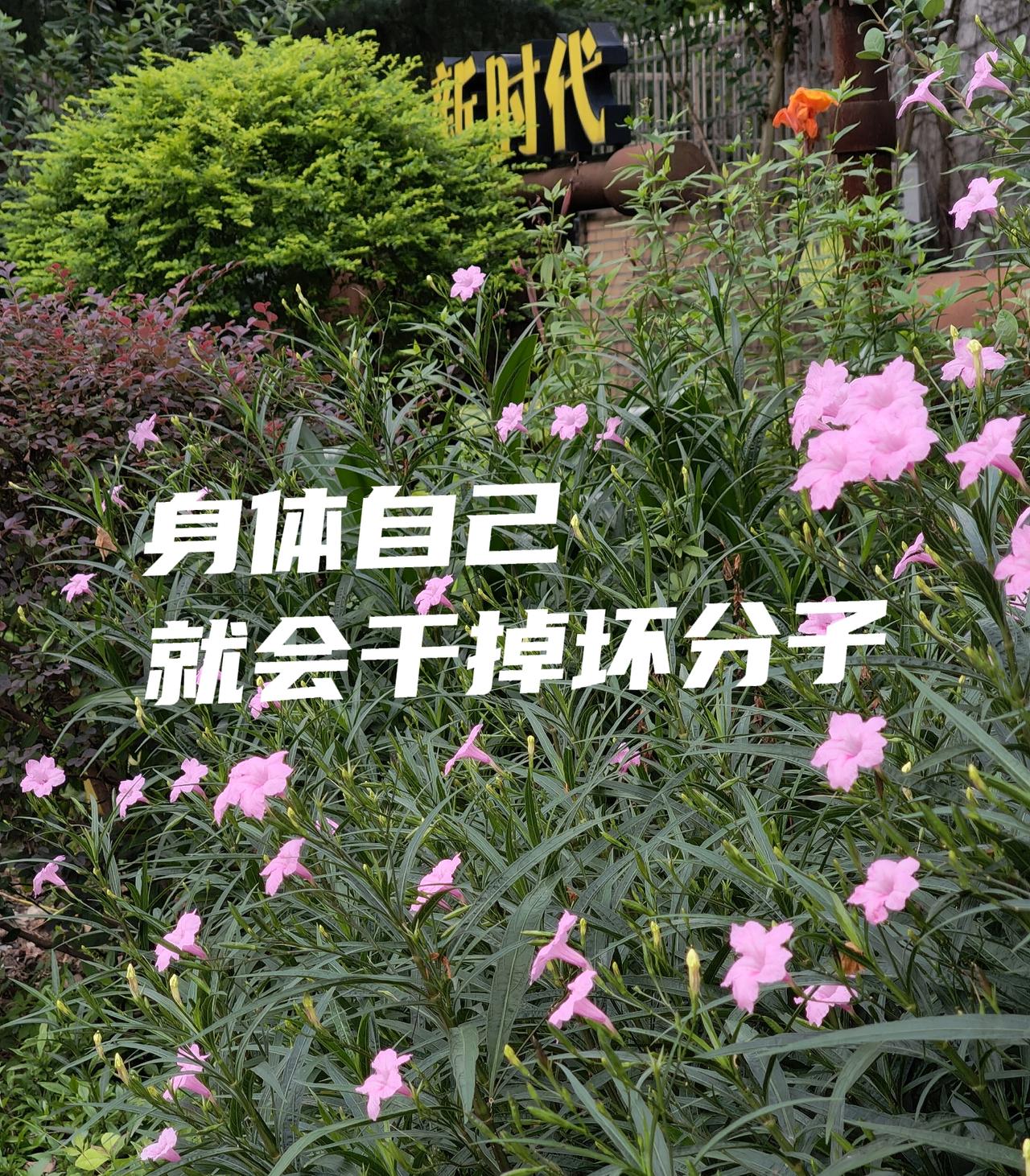 我一直提醒自己:
不能让坏东西长出来，管理好自己的生活。如果累了，睡眠少了，能量