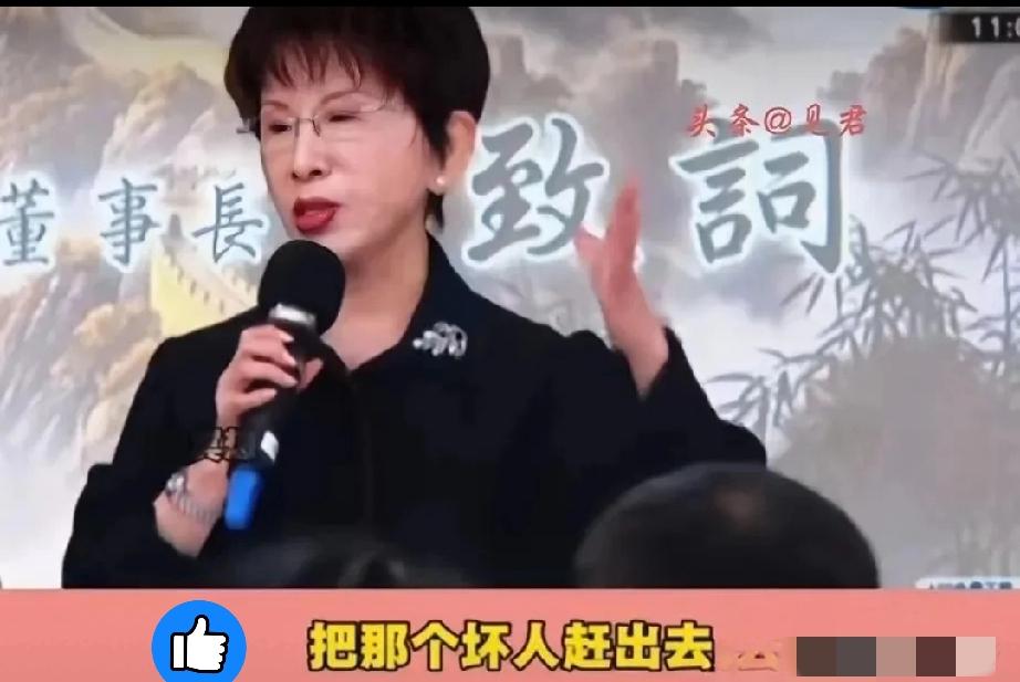 “把那个坏人赶出去！”洪秀柱终于发话了。
 
5月3日上午，洪秀柱出席侯汉廷新书