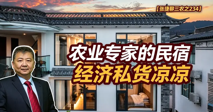 张捷财经观察 | 农业专家的民宿经济私货凉凉