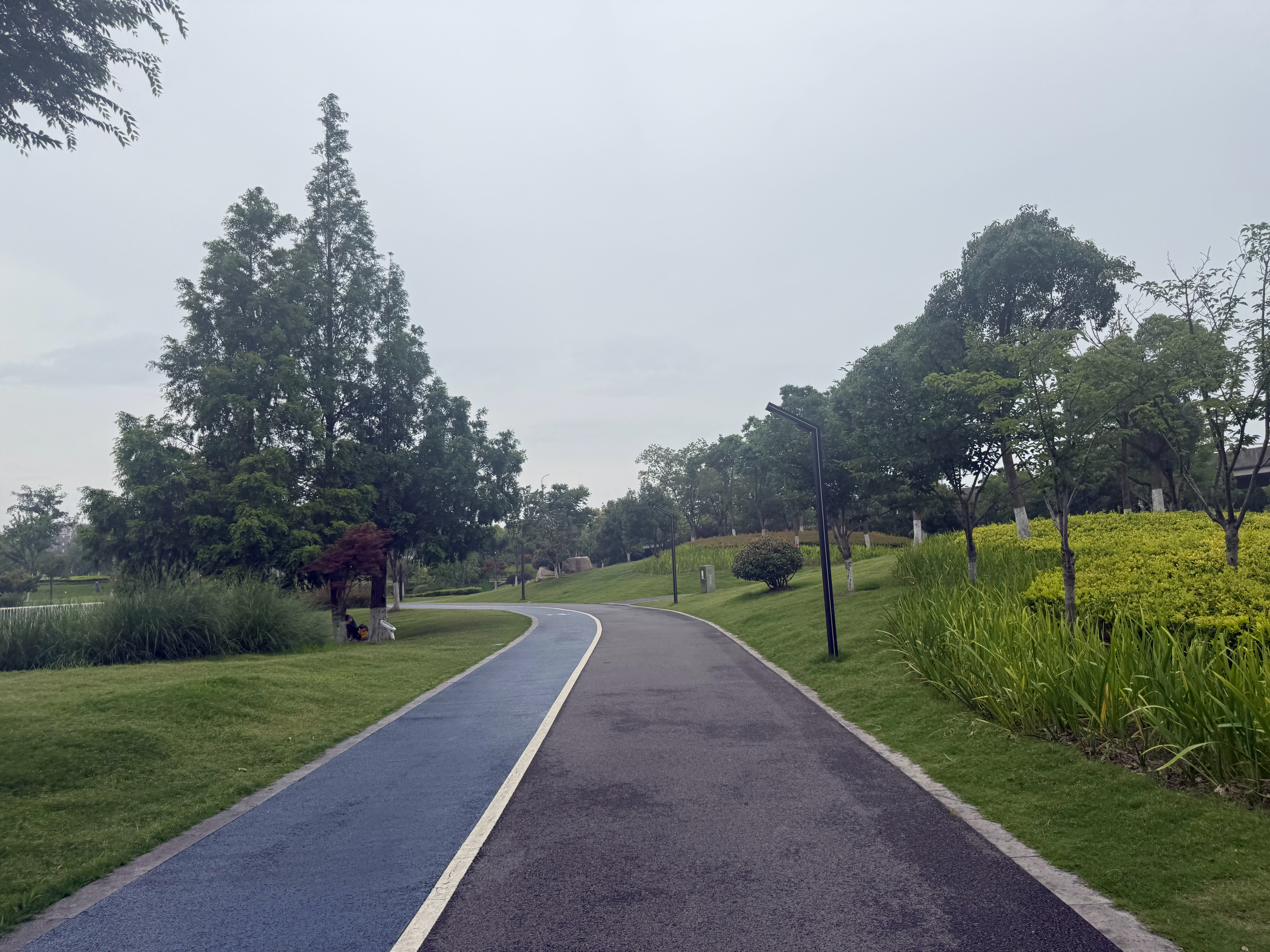 跑步  跑步日记：2026年6月19日星期五，每天跑步一公里，连续不间断跑步打卡