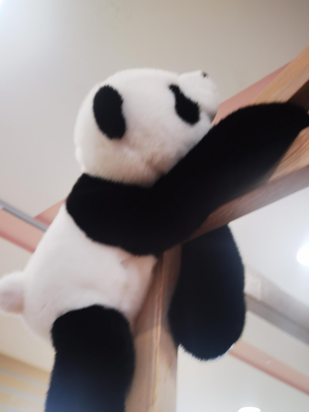 对付烦恼的稀奇秘诀：
在现实的生活里，烦恼就像影子，总在不经意间跟上来。以前就有