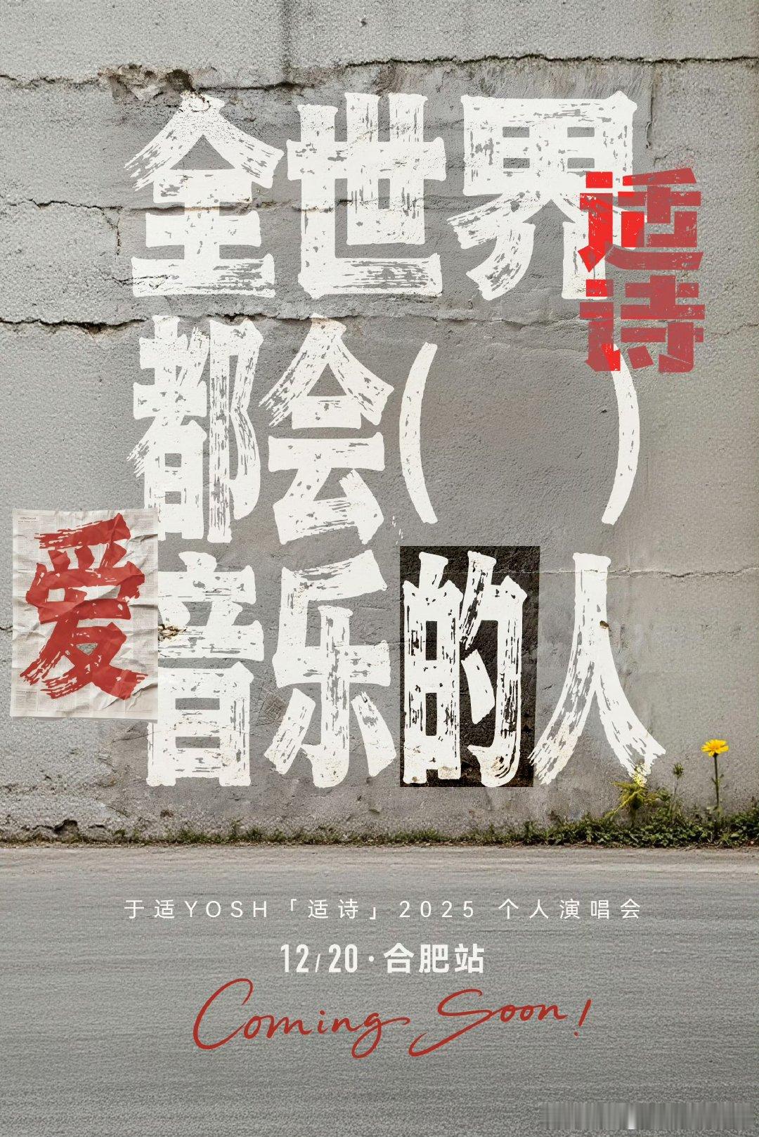 于适合肥演唱会官宣，期待12月20日 