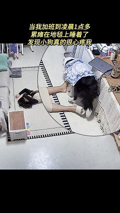 万万没想到！近日广东，女子加班到凌晨一点，回到家后直接躺在客厅上睡着了，过了一会