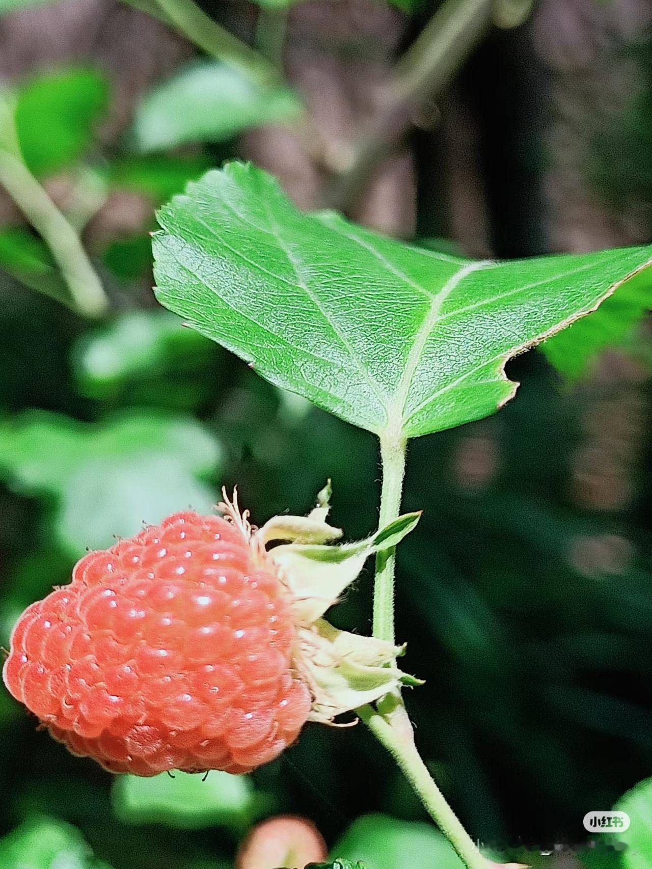 农村的六大惊人变化，你们都了解多少呢？

一、房屋越建越好
但好多房子住的时间少
