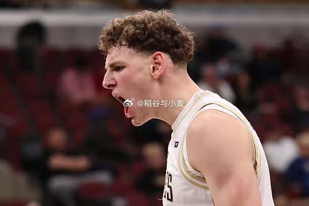 华盛顿大学的大一德国中锋汉内斯-施泰因巴赫（Hannes Steinbach）在