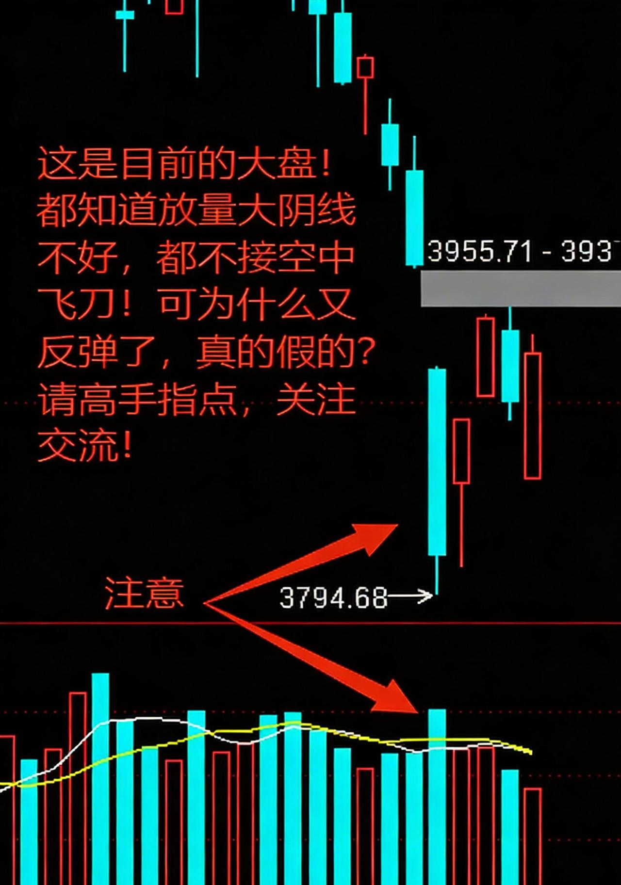 股市股票股民财经韭菜