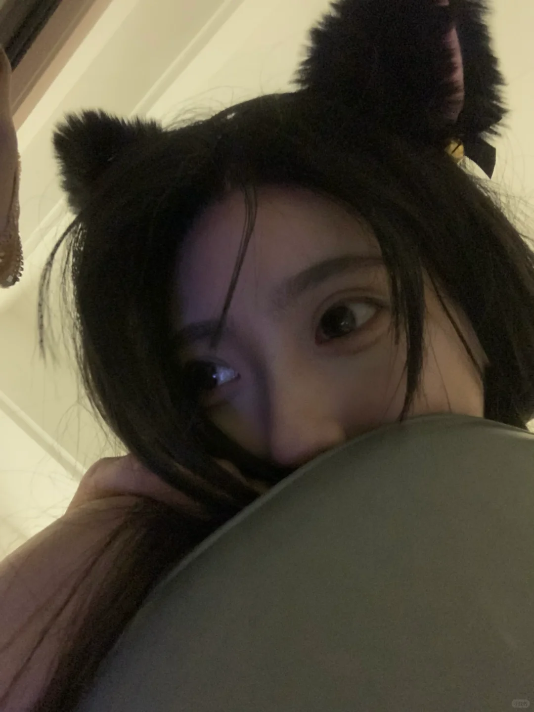 晚安🐈