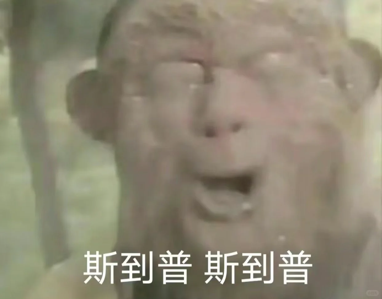 后羿射日为什么不把工作日射了🤦‍♀️