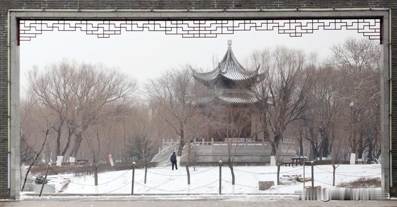 2025年这波全国型强冷空气来势汹汹啊！15号前先波及西北地区，15 - 17号