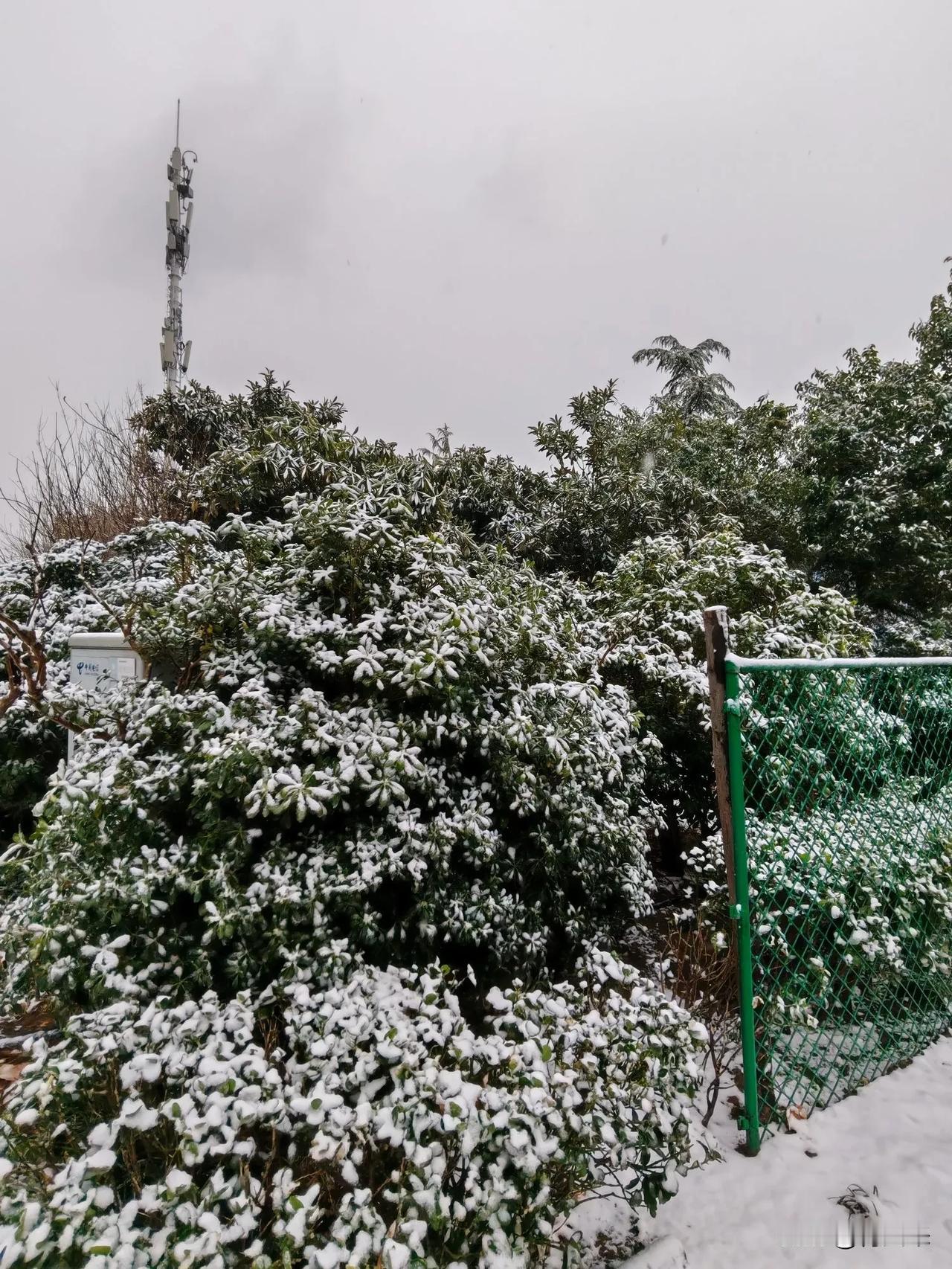 我今天去面试，走到一半就后悔了。
到了之后还是下的小雪，面试完就下的大雪了。
面