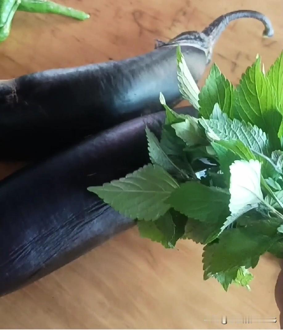 能3秒钟说出这个草叫什么名字的一定是老乡！猜猜他叫啥 农村宝藏植物 老家神秘草