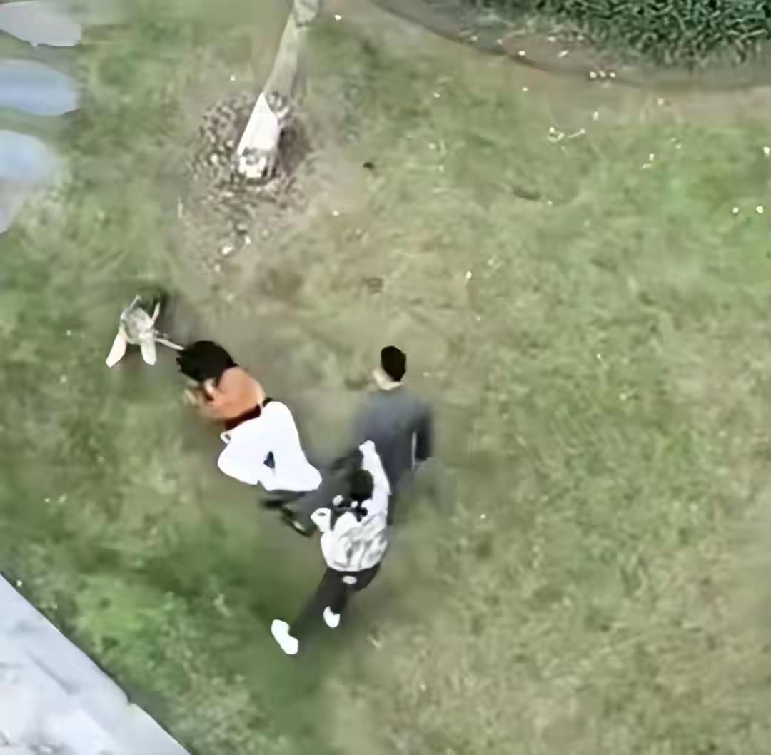 警方介入调查 有话好好说，男子殴打遛狗女子，说明男子性格不好，脾气暴躁，控制不住