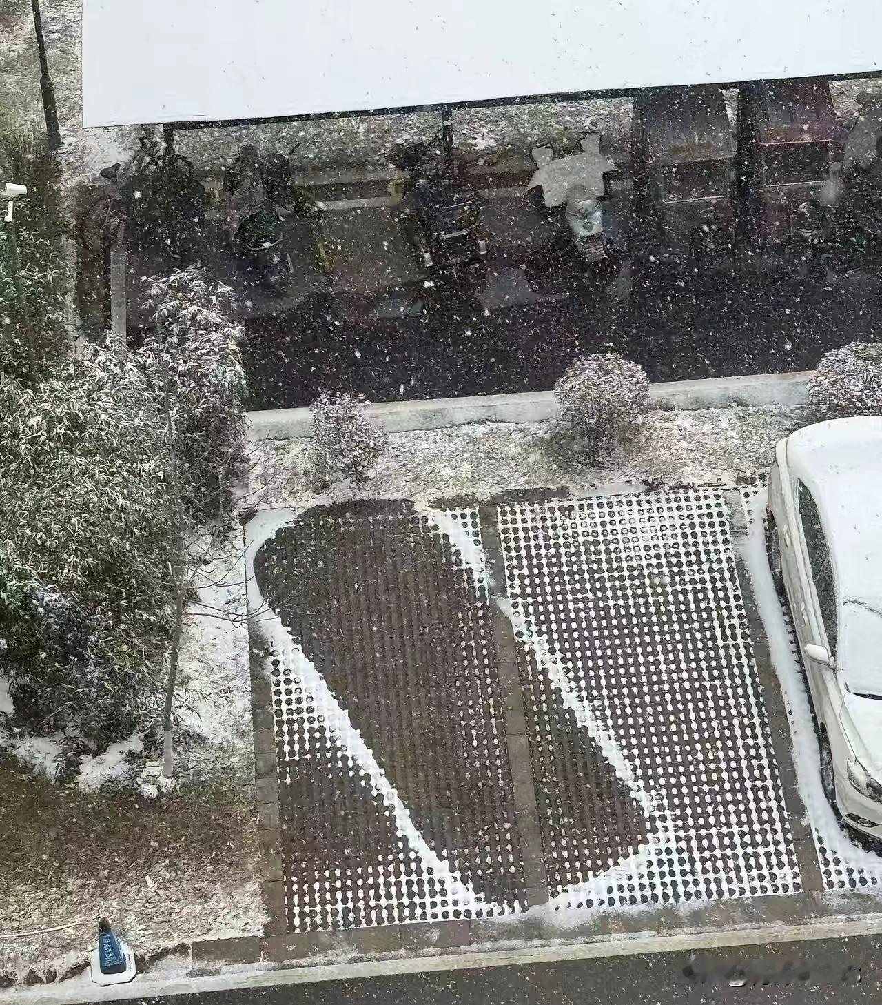 看图猜车[灵光一闪]