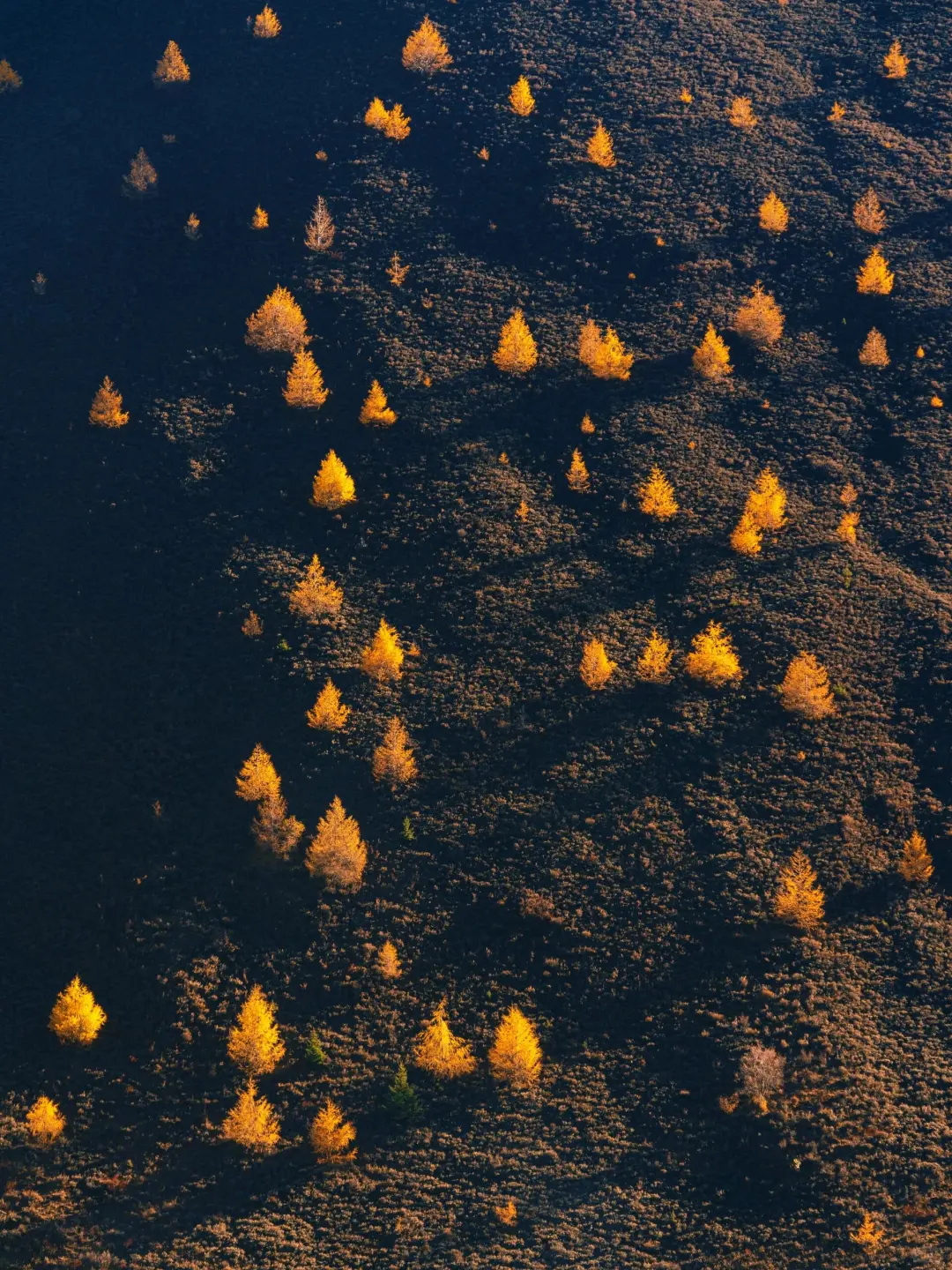 去过5次川西，总结的秋色精华路线❗🚗