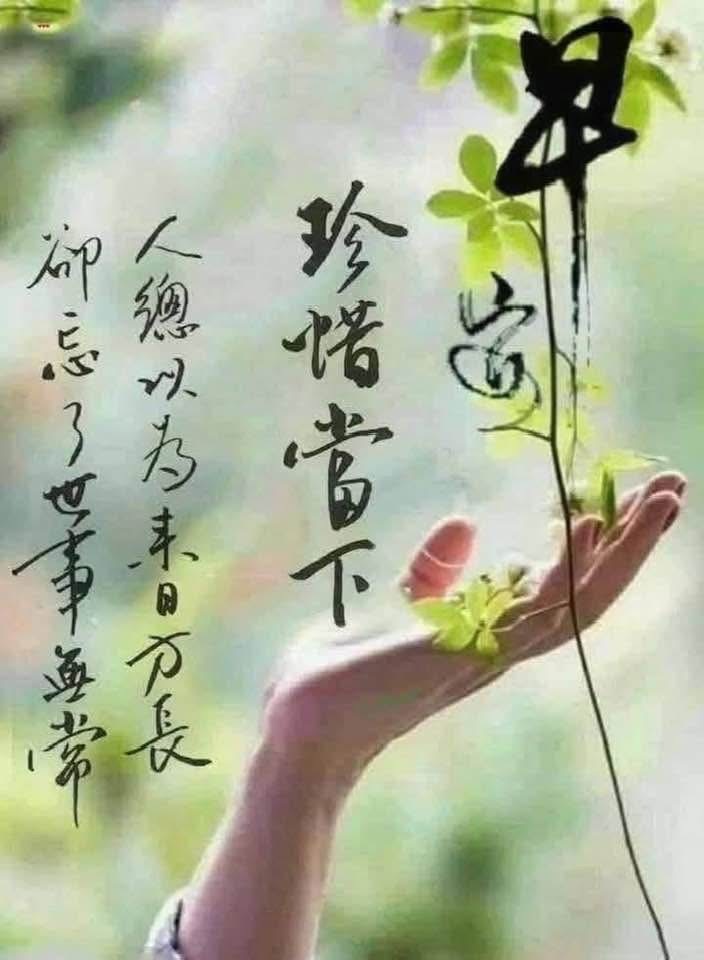 摩登兄弟  早