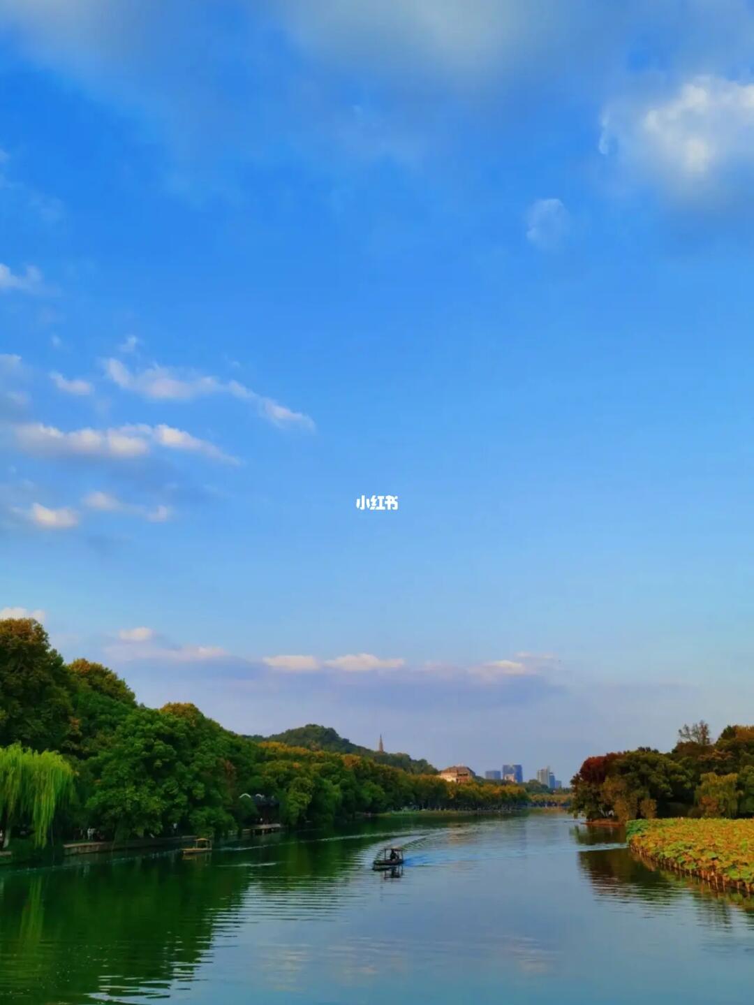 元宵节去哪？杭州烟花大会人太多怎么办😱