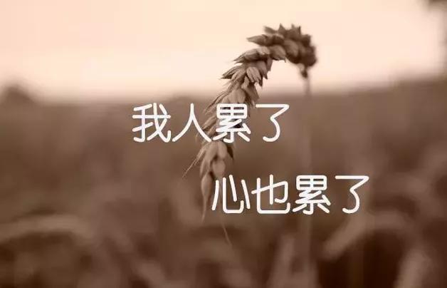 这是一个充满情感冲突的故事情节，涉及家庭背叛、信任危机以及隐藏的秘密。
李婷原本