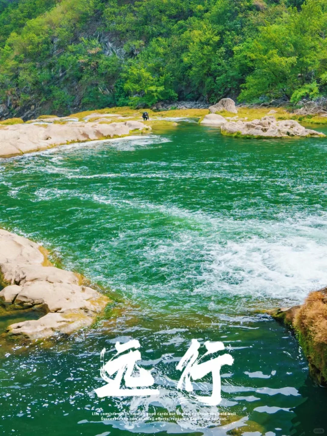 光落在绿意里一起享受大自然的美 旅途中的美景 推荐一个好地方 自然风光分享 户外...