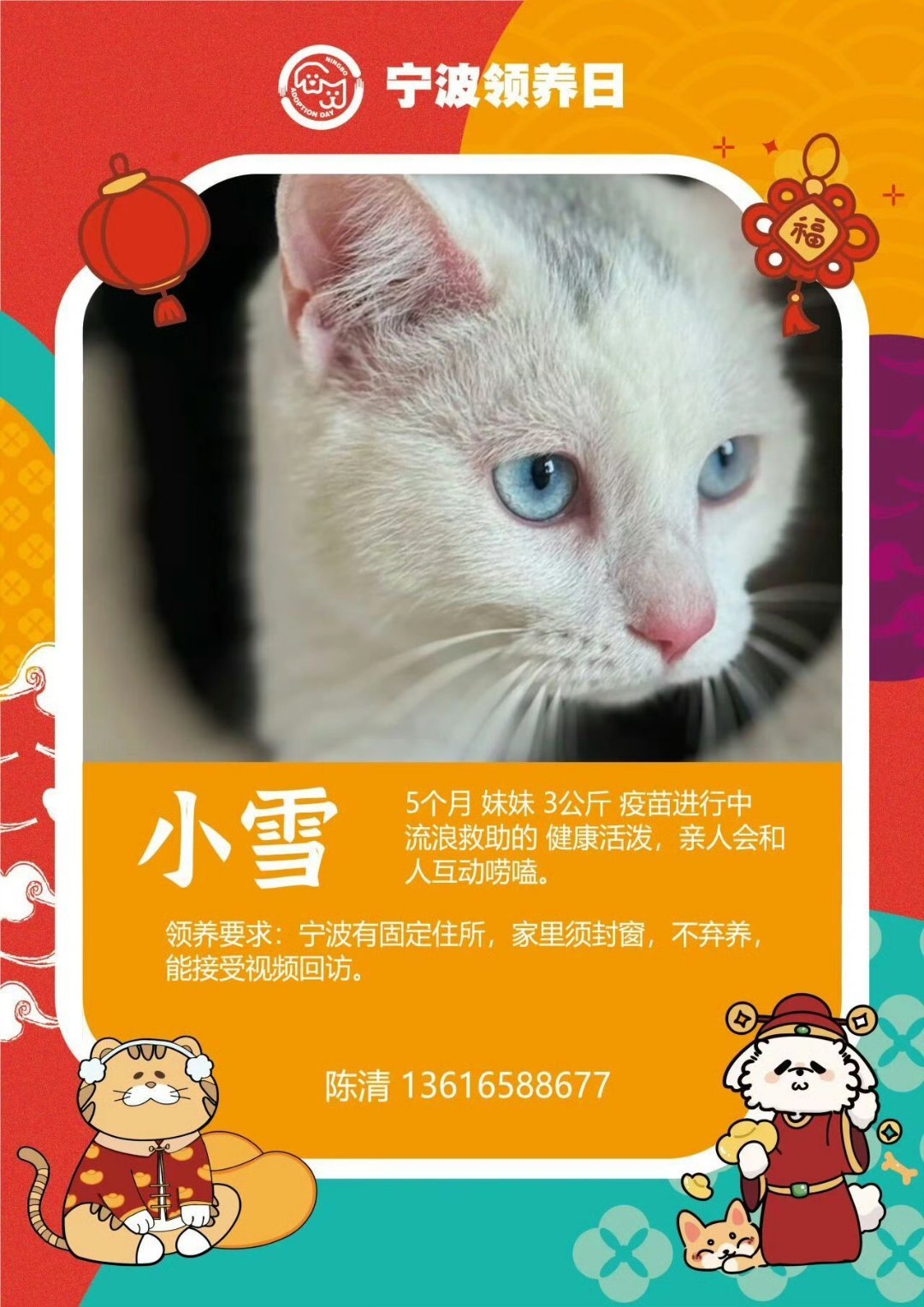 第107届宁波领养日 🥳🧧2月7日下午13:00-17:00，第107届宁波