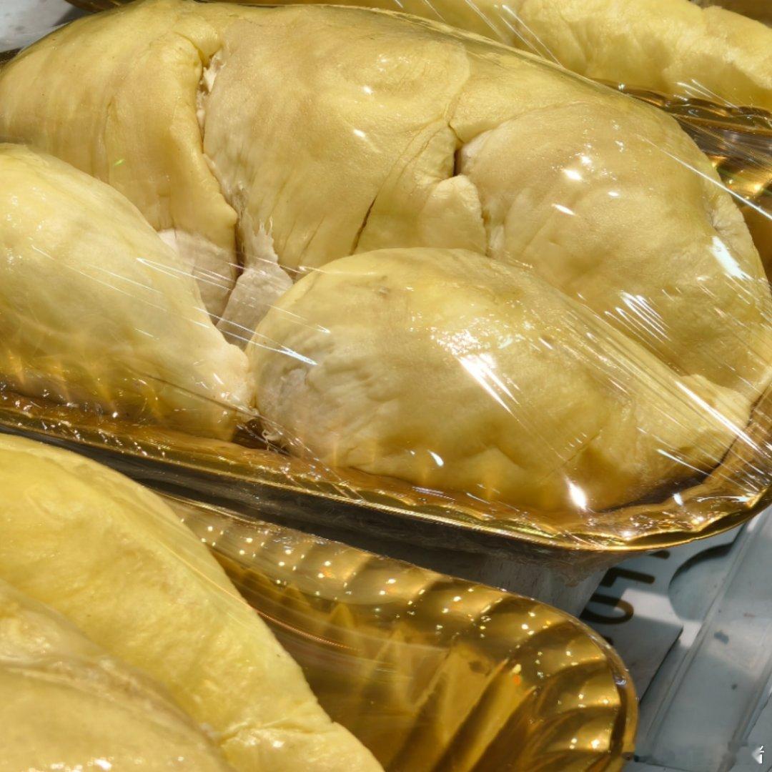 双高胎 来不来夜宵