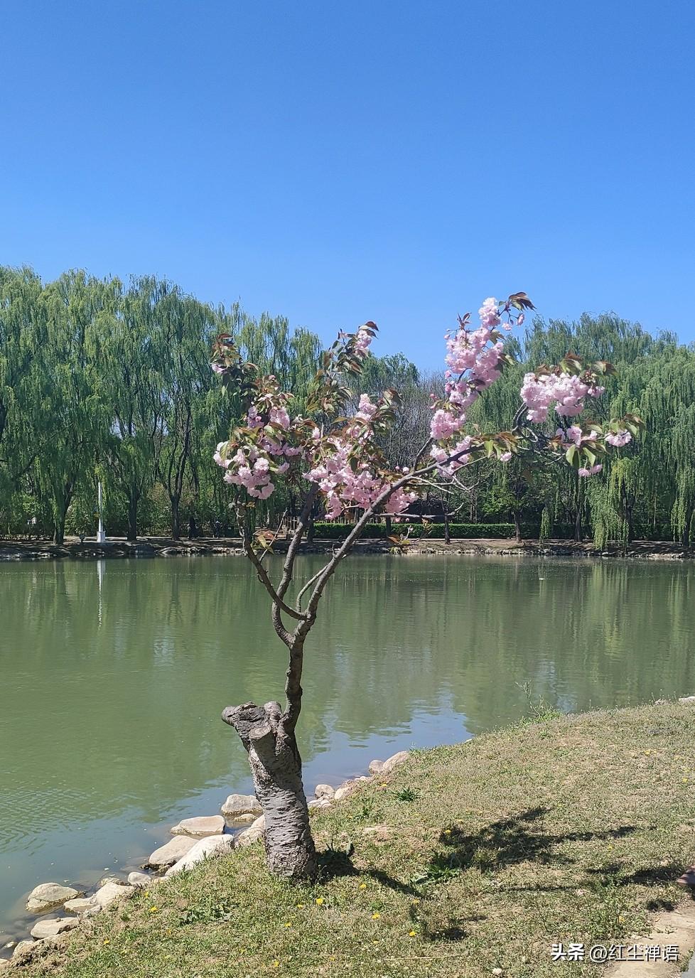 一个人独来独往，不一定是孤独，也许，只是一种习惯而已

真正的独来独往者，往往不
