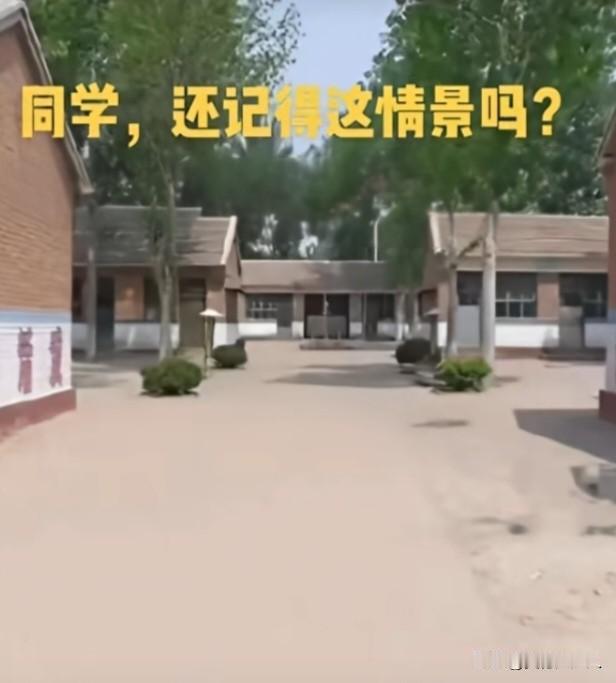 [微风][微风][微风]《别校》[微风][微风][微风]
 
此刻我立在学校的大