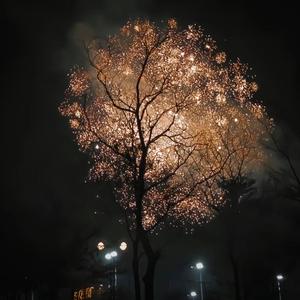 小梵同学