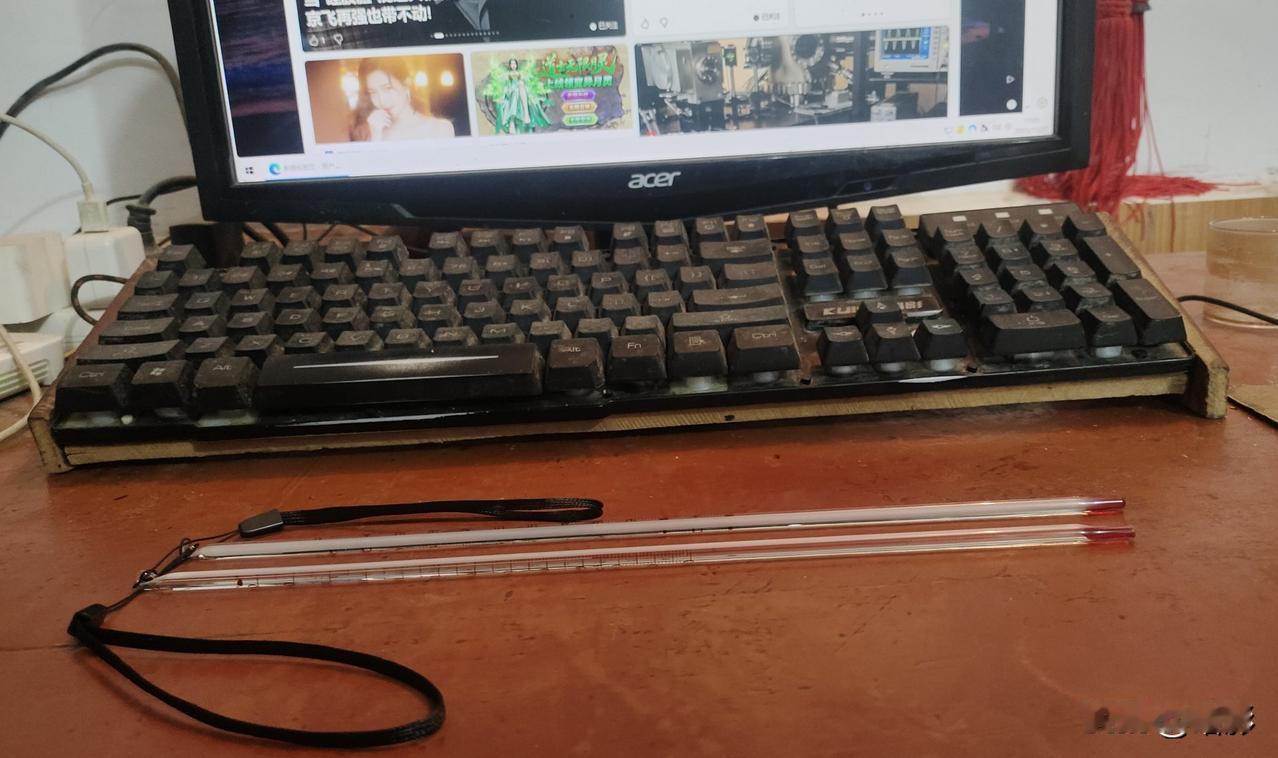 终于搭上了一趟末班车，下单拼多多买了两只温度计！因为自2026 年 1 月 1 