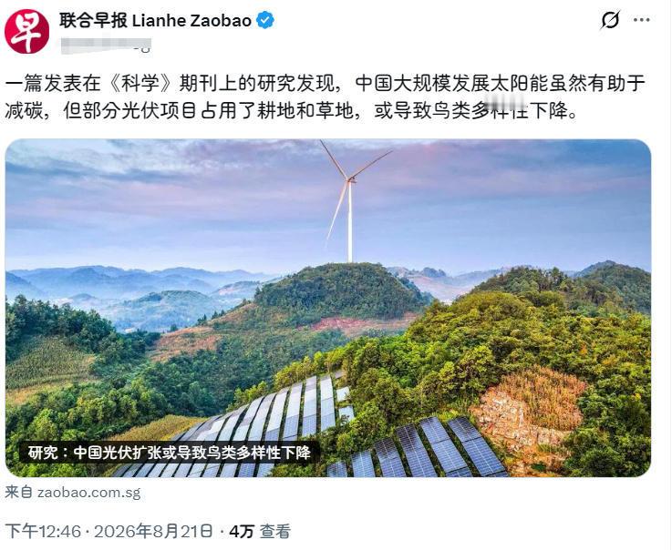 新加坡：虽然中国发展光伏太阳能节能减排，但是损害鸟类多样性。我觉得没有，现在不是