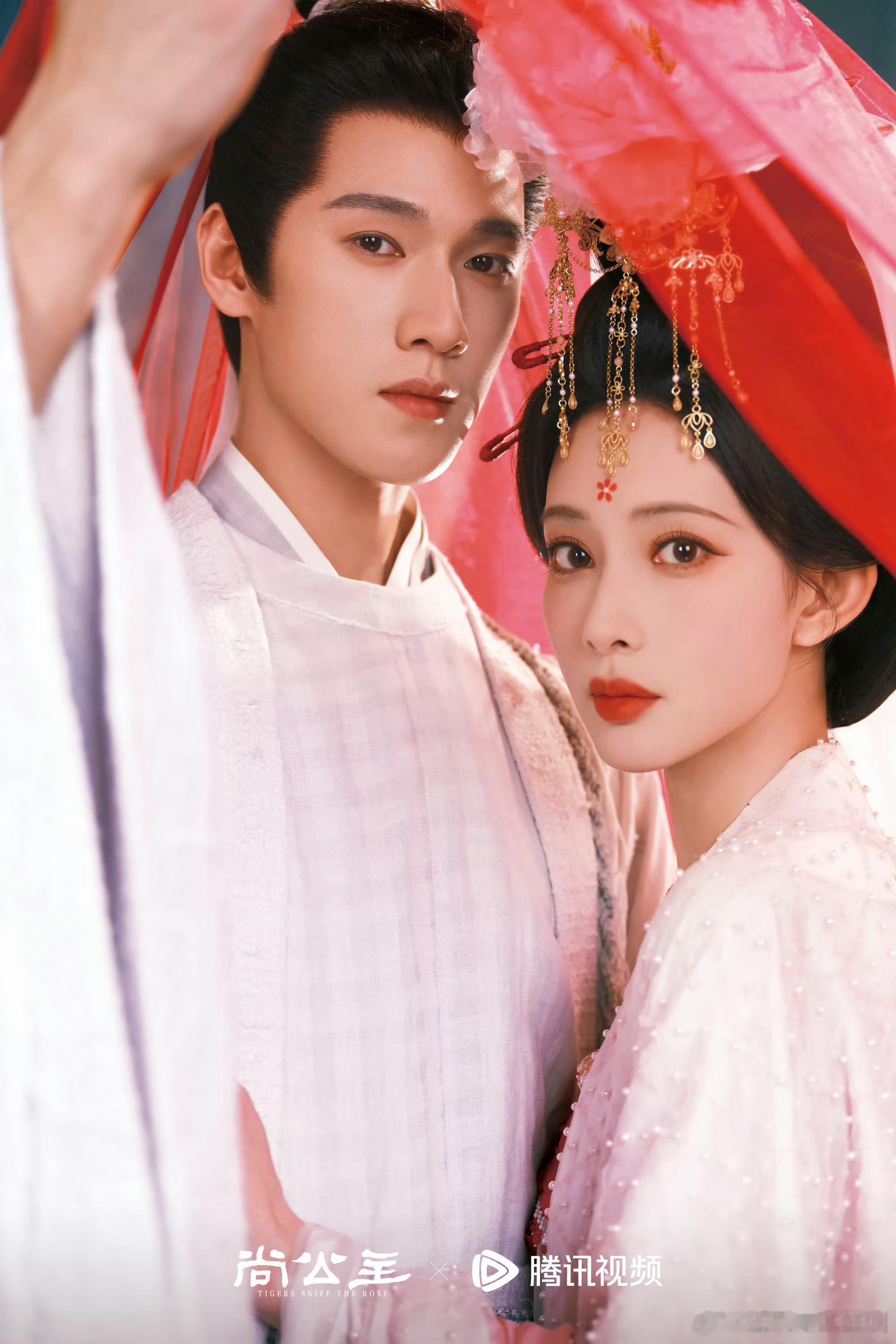 尚公主全阵容官宣这组拍的很妙 ​​​