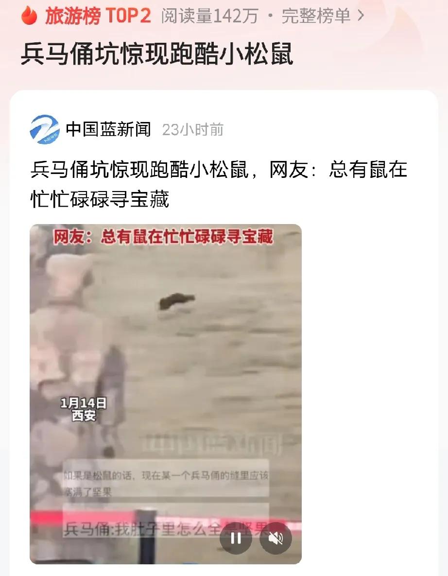 兵马俑坑惊现跑酷小松鼠，这3点万万没想到:

1、场景的违和感令人惊叹。兵马俑坑